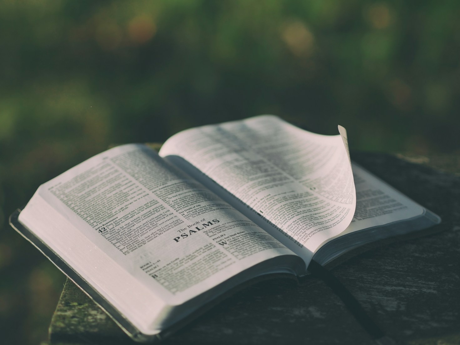 Exploring the Gospels: A Podcast Perspective